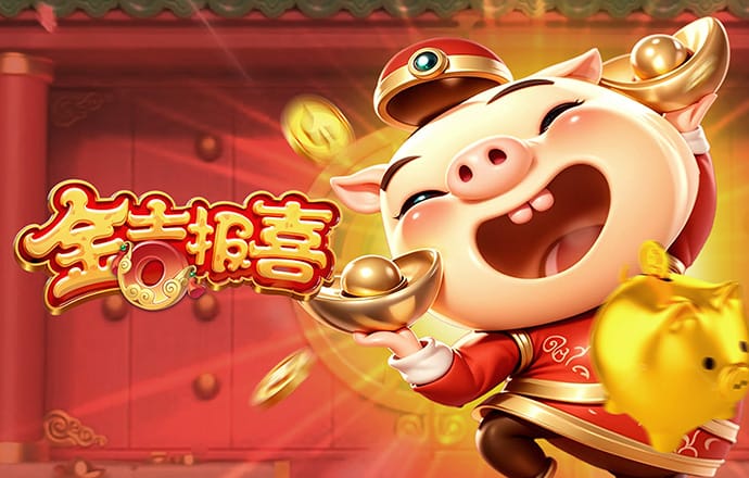 bibo必博体育网